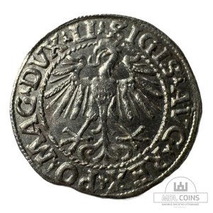 Alternative view of 1548 metų Žygimanto Augusto 1/2 grašio