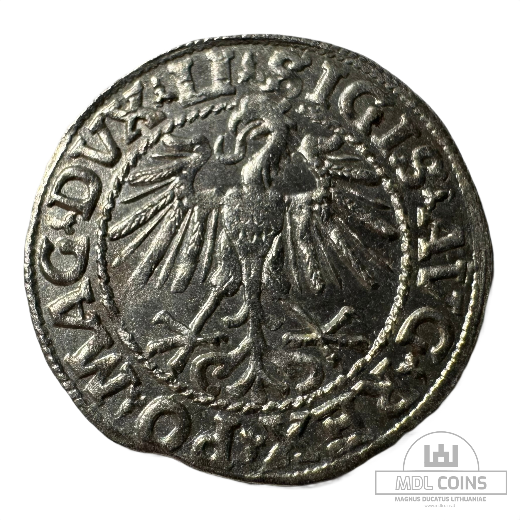 1548 metų Žygimanto Augusto 1/2 grašio - Image 2