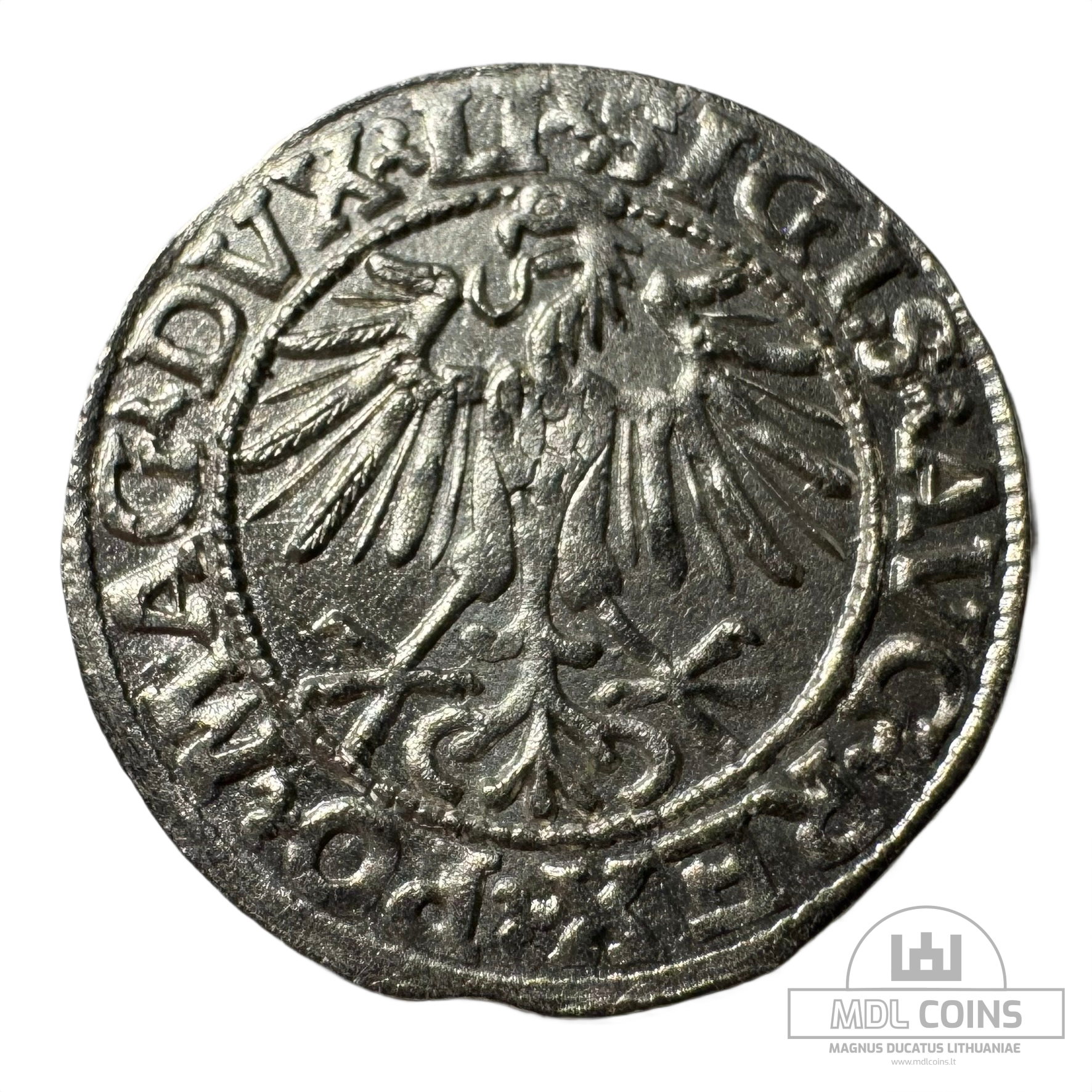 1548 metų Žygimanto Augusto 1/2 grašio - Image 2