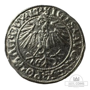 Alternative view of 1548 metų Žygimanto Augusto 1/2 grašio