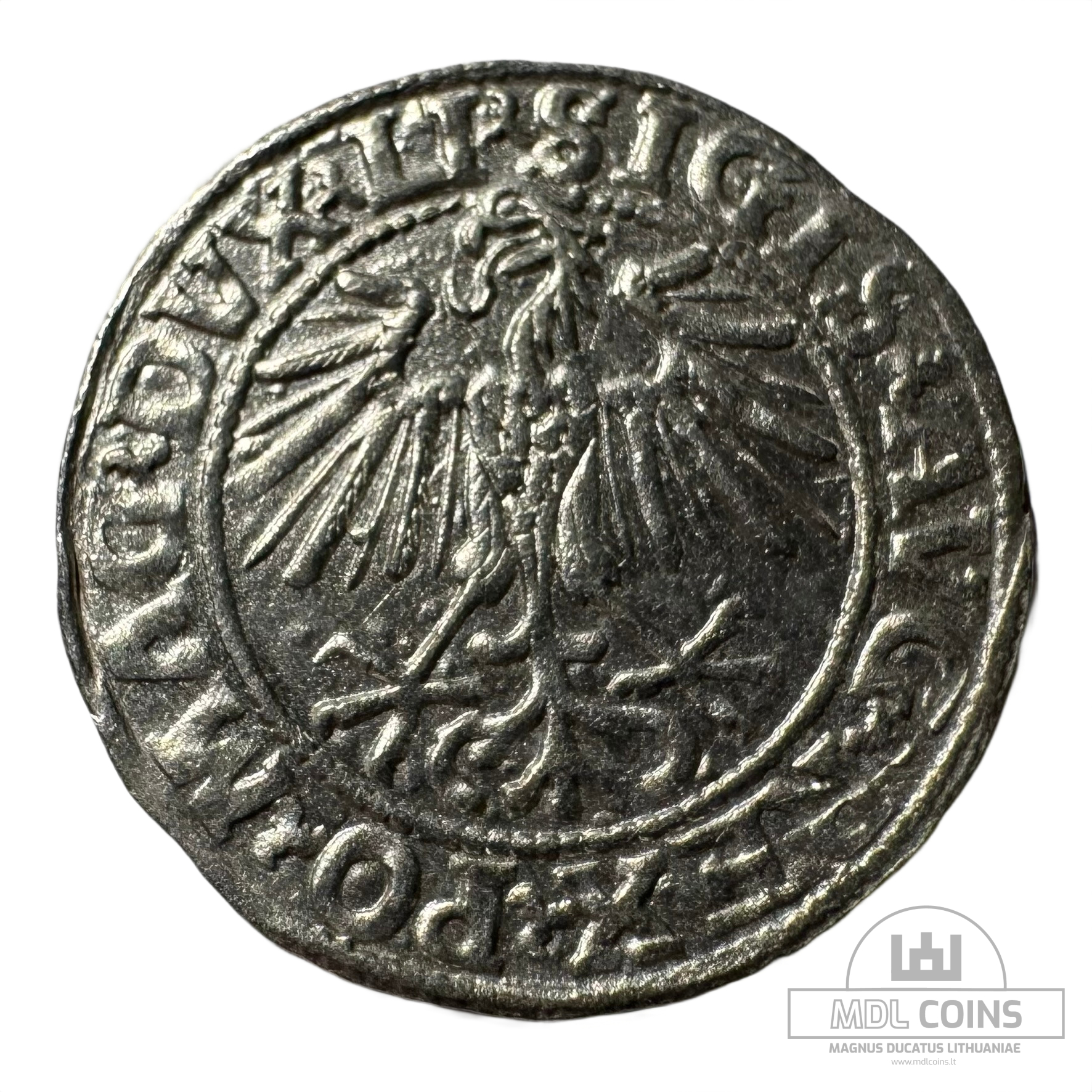 1548 metų Žygimanto Augusto 1/2 grašio - Image 2