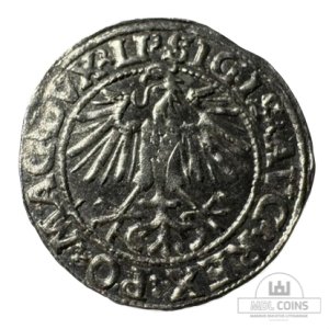 Alternative view of 1548 metų Žygimanto Augusto 1/2 grašio