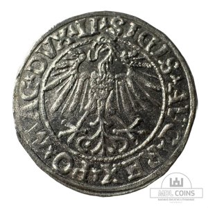 Alternative view of 1548 metų Žygimanto Augusto 1/2 grašio