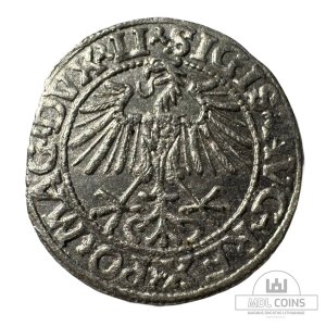 Alternative view of 1548 metų Žygimanto Augusto 1/2 grašio