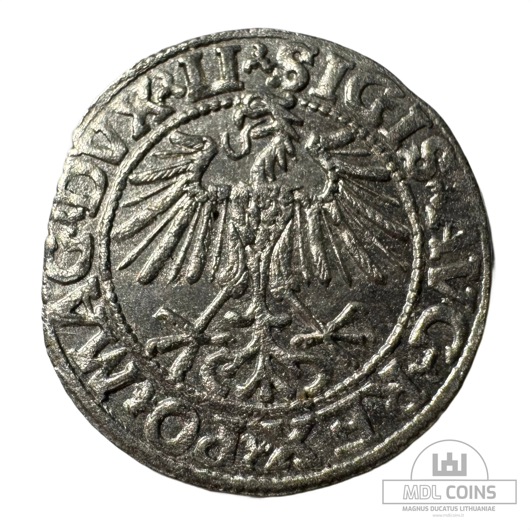 1548 metų Žygimanto Augusto 1/2 grašio - Image 2