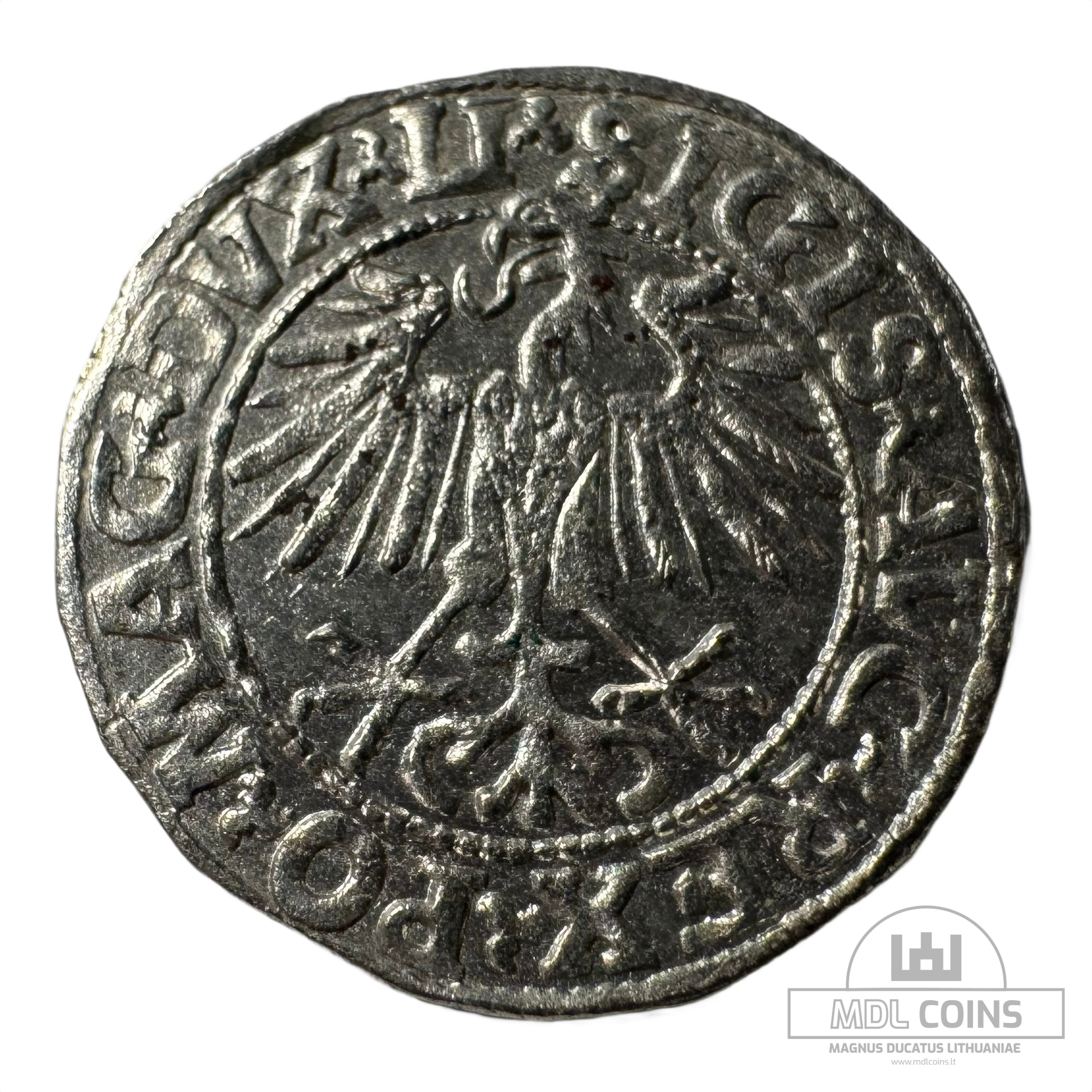 1548 metų Žygimanto Augusto 1/2 grašio - Image 2