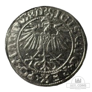 Alternative view of 1548 metų Žygimanto Augusto 1/2 grašio