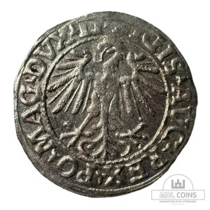 Alternative view of 1548 metų Žygimanto Augusto 1/2 grašio