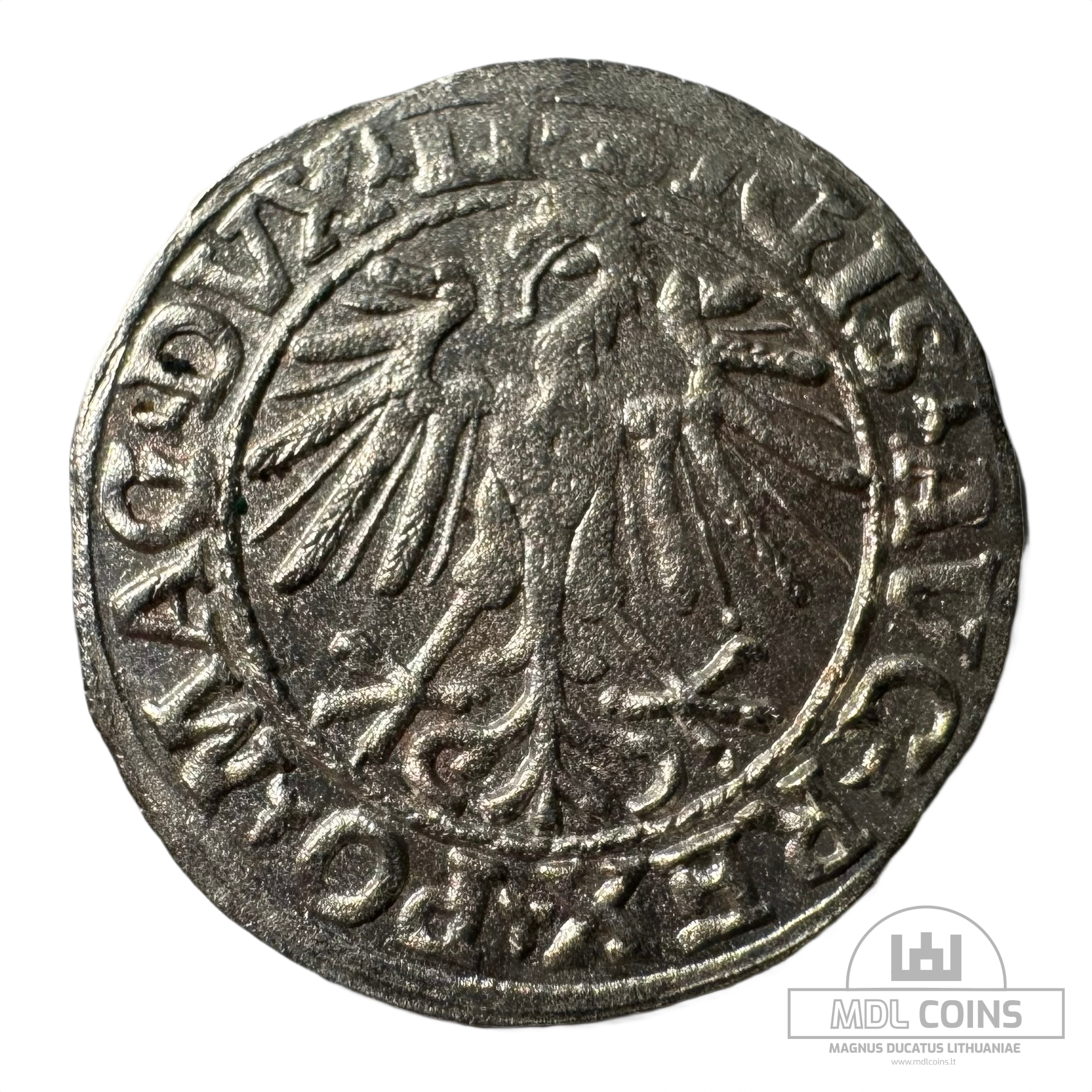 1548 metų Žygimanto Augusto 1/2 grašio - Image 2