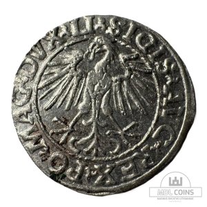 Alternative view of 1548 metų Žygimanto Augusto 1/2 grašio