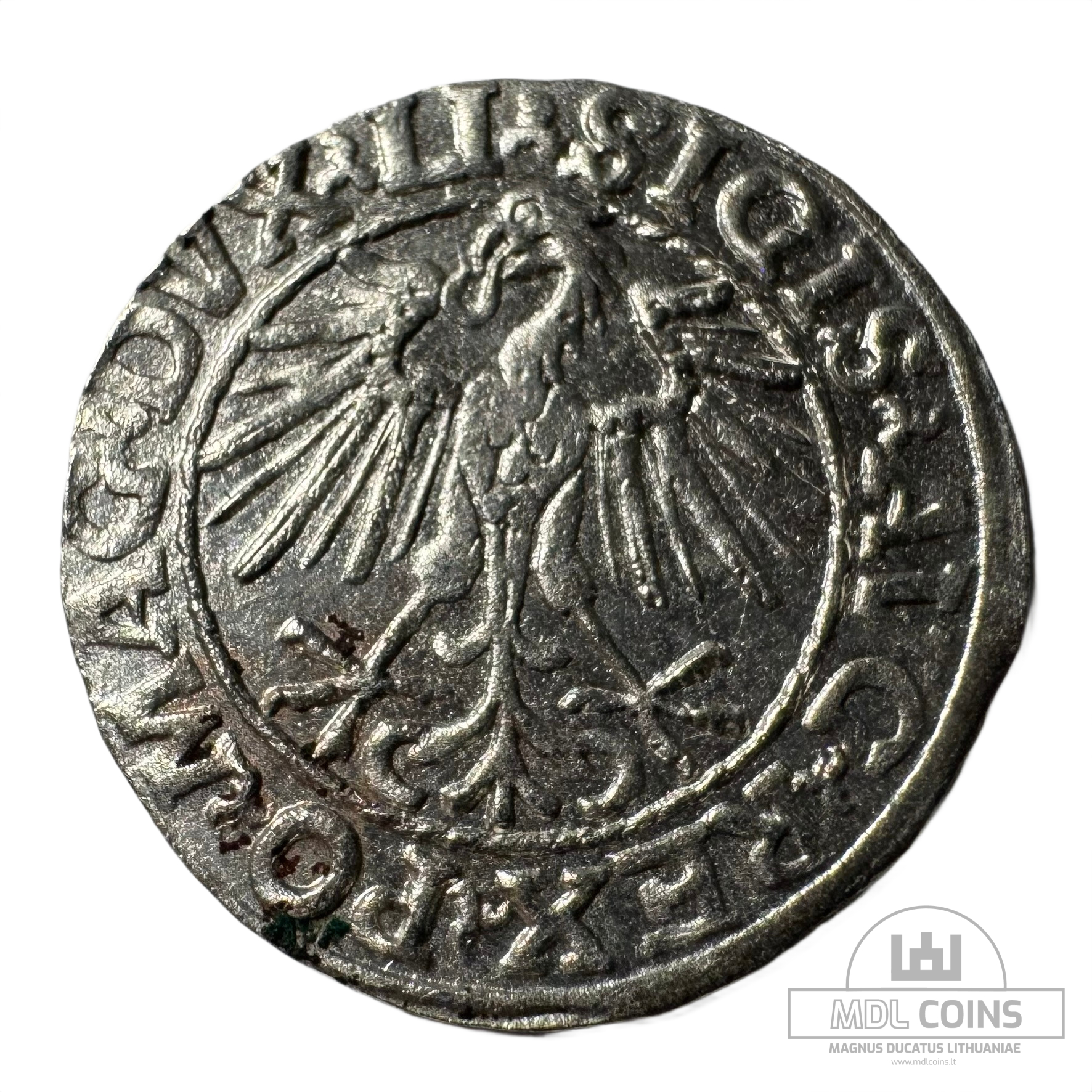 1548 metų Žygimanto Augusto 1/2 grašio - Image 2