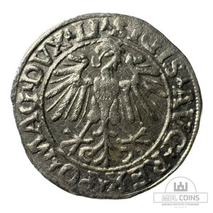 Alternative view of 1548 metų Žygimanto Augusto 1/2 grašio