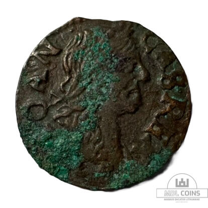 1666 metų Jono Kazimiero šilingas - Vilniaus kalykla - Image 2