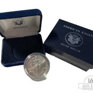 JAV - 2003 metų 1 doleris - "Silver Eagle" - Su dėžute - (Sidabras 999 / 31,1 g)