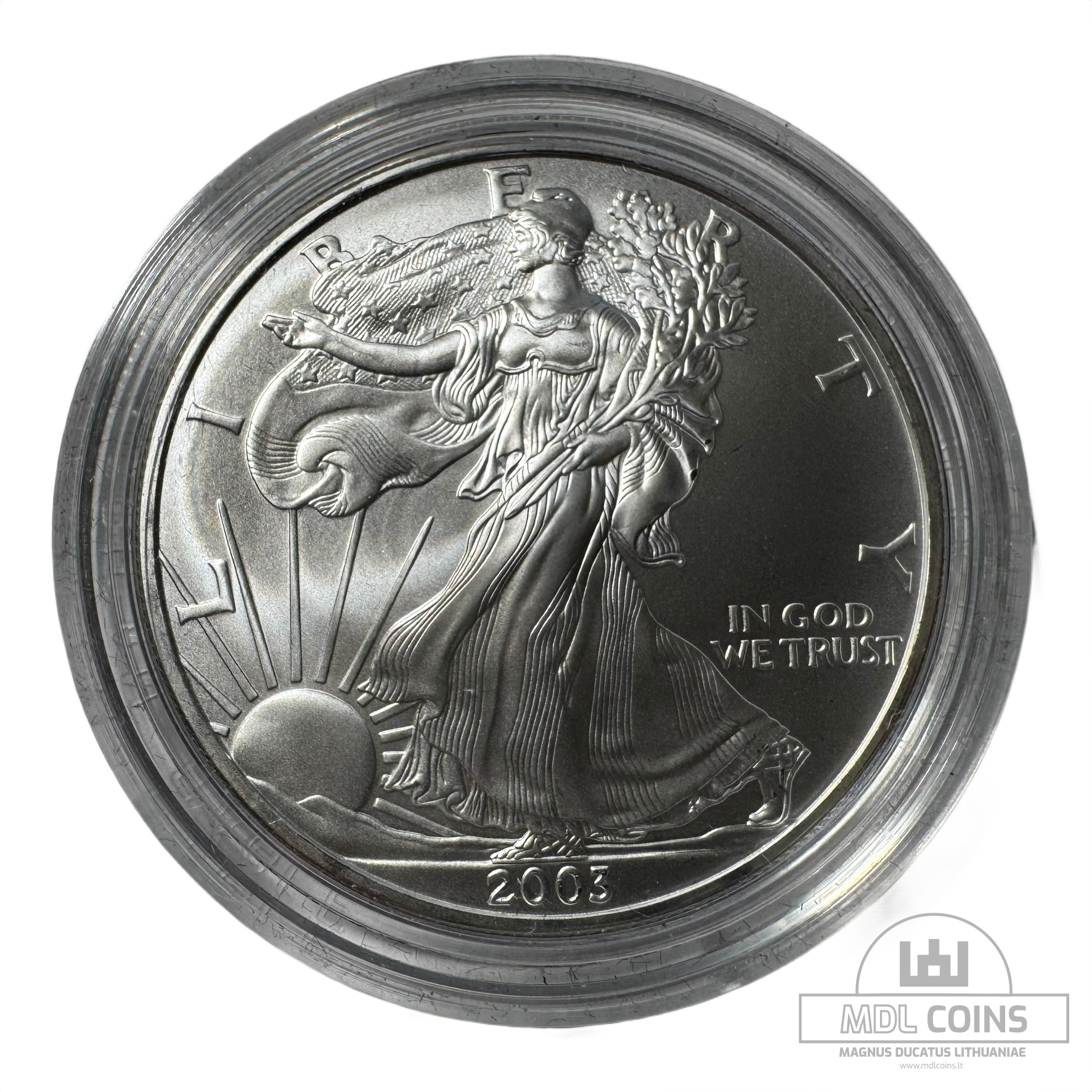 JAV - 2003 metų 1 doleris - "Silver Eagle" - Su dėžute - (Sidabras 999 / 31,1 g) - Image 2