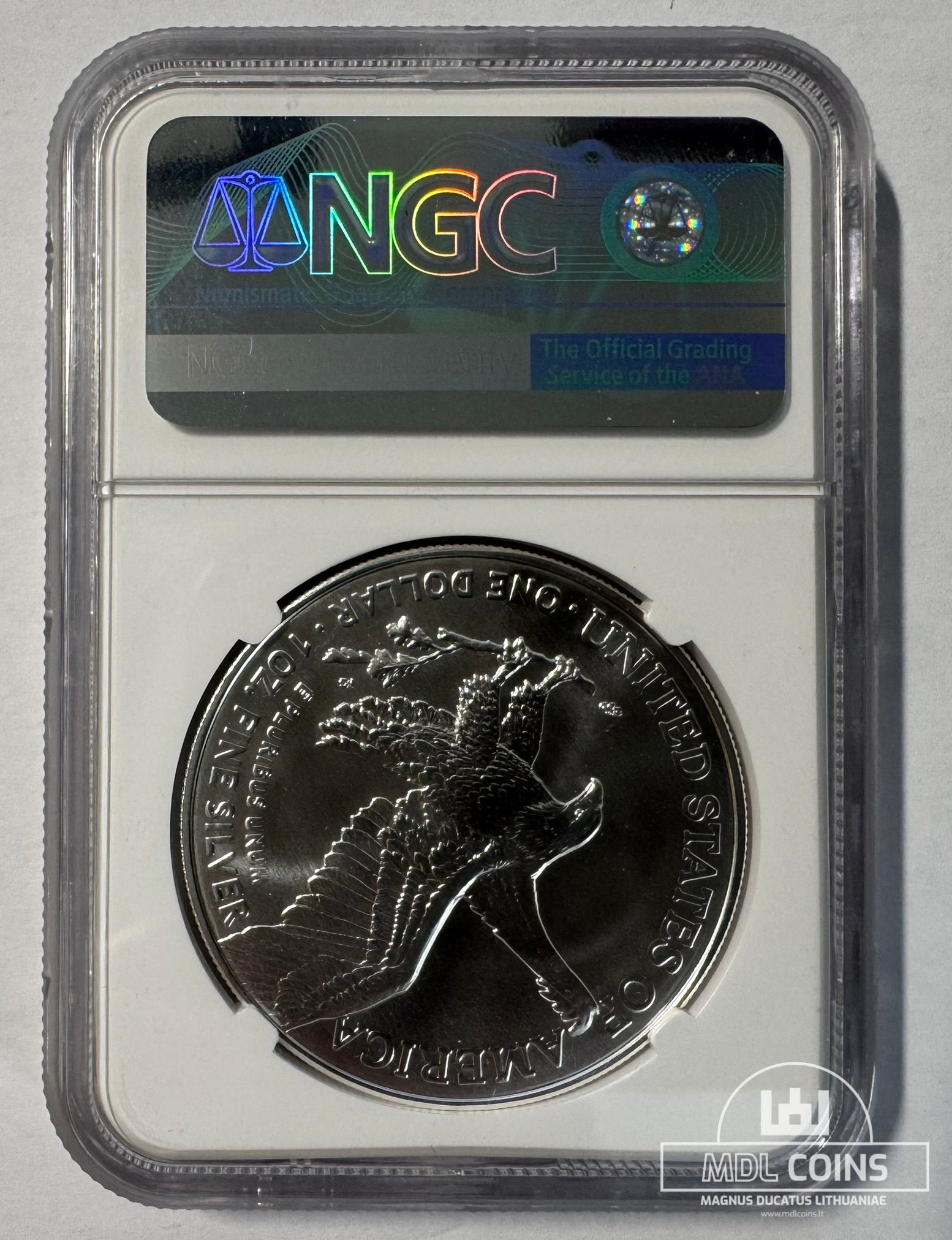 JAV - 2021 metų 1 doleris - "Silver Eagle" (Eagle Landing T-2) - NGC MS70 - FIRST RELEASES + signature Michael Gaudioso - (Sidabras 999 / 31,1 g) - Image 3
