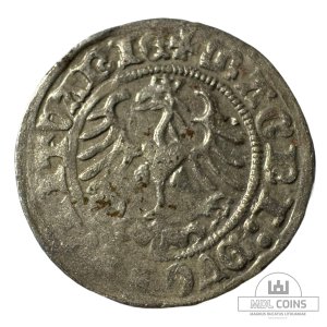 Alternative view of 1513 metų Žygimanto Senojo 1/2 grašio