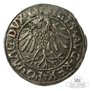 Alternative view of 1547 metų Žygimanto Augusto 1/2 grašio - Dvigubas kalimas