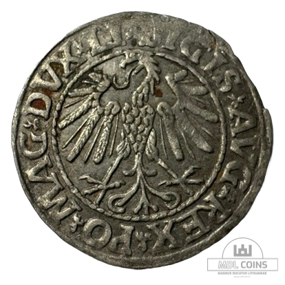 1547 metų Žygimanto Augusto 1/2 grašio - Dvigubas kalimas - Image 2