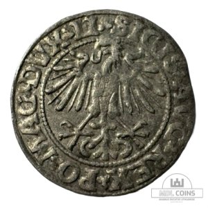 Alternative view of 1549 metų Žygimanto Augusto 1/2 grašio