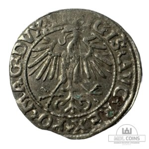 Alternative view of 1549 metų Žygimanto Augusto 1/2 grašio