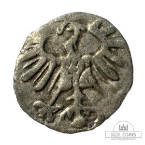 Alternative view of 1556 metų Žygimanto Augusto denaras