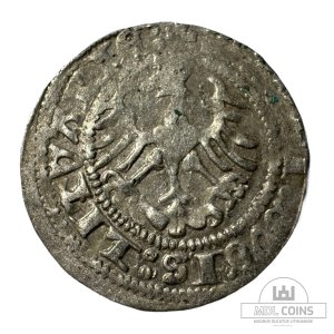 Alternative view of 1513 metų Žygimanto Senojo 1/2 grašio