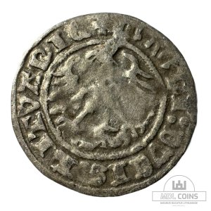 Alternative view of 1512 metų Žygimanto Senojo 1/2 grašio