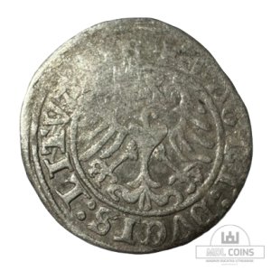 Alternative view of 1509 metų Žygimanto Senojo 1/2 grašio