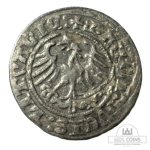 Alternative view of 1509-1529 metų Žygimanto Senojo 1/2 grašio - Dvigubas kalimas