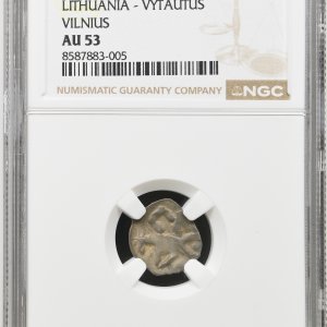 Alternative view of 1396-1401 metų Vytauto Didžiojo 1/2 grašio – „PECHIAT” – 6V tipas - NGC AU53