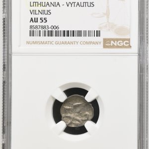 Alternative view of 1396-1401 metų Vytauto Didžiojo 1/2 grašio – „PECHIAT” – 6V tipas - NGC AU55