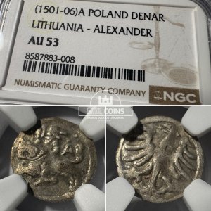 1498-1506 metų Aleksandro Jogailaičio denaras – Renesansas – NGC AU53 – (Sesija Nr.89 – Pabaiga 20260408 – 21.16 val. + 2 min. „Anti-sniping”)