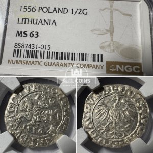 1556 metų Žygimanto Augusto 1/2 grašio - NGC MS63