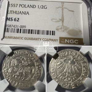 1557 metų Žygimanto Augusto 1/2 grašio - NGC MS62