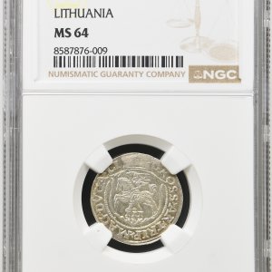 1563 metų Žygimanto Augusto 3 grašiai - NGC MS64