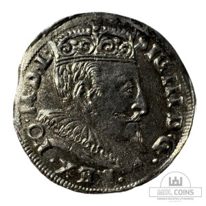 Alternative view of 1595 metų Žygimanto Vazos 3 grašiai