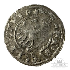 Alternative view of 1501-1506 metų Aleksandro Jogailaičio 1/2 grašio - Renesansas - Katalogo nr. H17