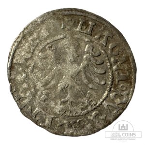 Alternative view of 1501-1506 metų Aleksandro Jogailaičio 1/2 grašio - Gotika - Katalogo nr. H12