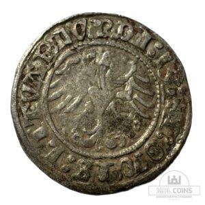 Alternative view of 1513 metų Žygimanto Senojo 1/2 grašio - Dvigubas kalimas
