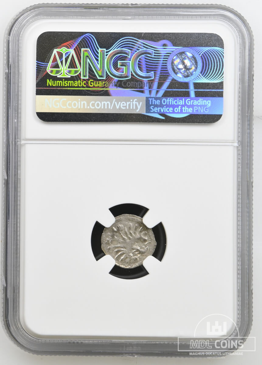 1498-1506 metų Aleksandro Jogailaičio denaras – Gotika – NGC MS62 – (Sesija Nr.92 – Pabaiga 20260514 – 22.04 val. + 2 min. „Anti-sniping”) - Image 5
