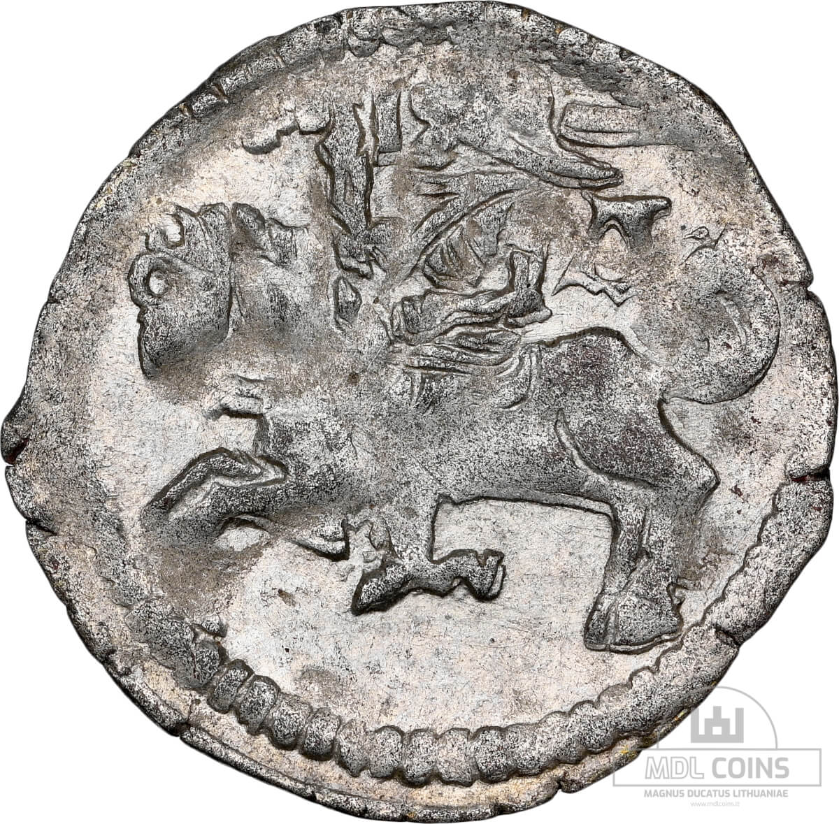 1498-1506 metų Aleksandro Jogailaičio denaras – Gotika – NGC MS62 – (Sesija Nr.92 – Pabaiga 20260514 – 22.04 val. + 2 min. „Anti-sniping”) - Image 2