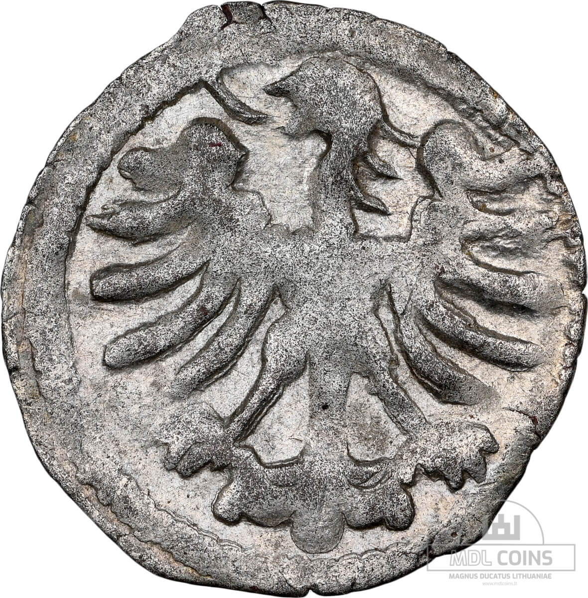 1498-1506 metų Aleksandro Jogailaičio denaras – Gotika – NGC MS62 – (Sesija Nr.92 – Pabaiga 20260514 – 22.04 val. + 2 min. „Anti-sniping”) - Image 3