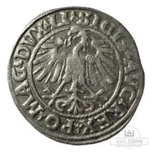 Alternative view of 1547 metų Žygimanto Augusto 1/2 grašio