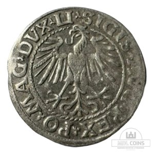 Alternative view of 1548 metų Žygimanto Augusto 1/2 grašio