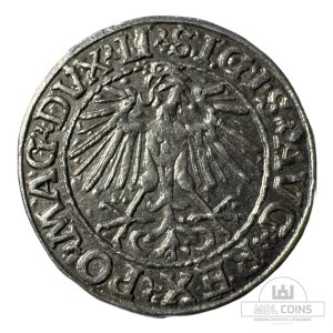 Alternative view of 1548 metų Žygimanto Augusto 1/2 grašio