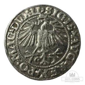 Alternative view of 1549 metų Žygimanto Augusto 1/2 grašio