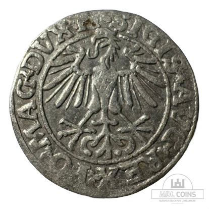 1550 metų Žygimanto Augusto 1/2 grašio - Image 2