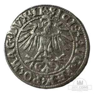Alternative view of 1550 metų Žygimanto Augusto 1/2 grašio