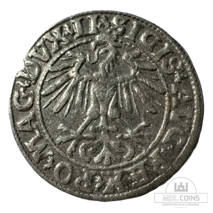 1550 metų Žygimanto Augusto 1/2 grašio - Image 2